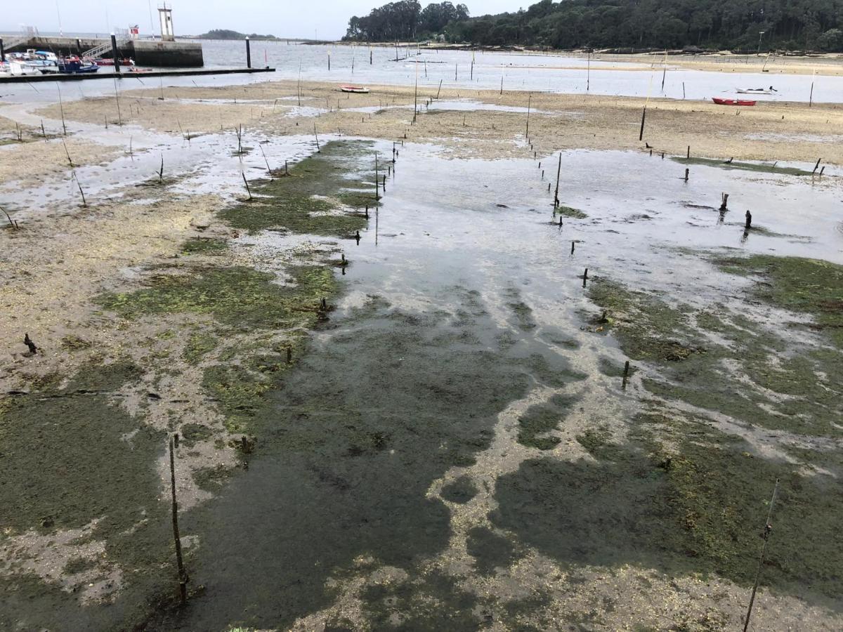 Alojamientos Rias Baixas- Casa Castillejos- Carril Vilagarcia de Arousa Zewnętrze zdjęcie